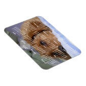 Golden Retriever Kalender 2019 mit Foto Magnet (Rechte Seite)