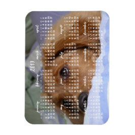 Golden Retriever Kalender 2019 mit Foto Magnet