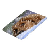 Golden Retriever Kalender 2019 mit Foto Magnet (Linke Seite)