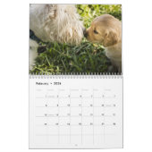 Golden Retriever Kalender 2023 mit Ihren Fotos (Feb 2026)