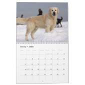 Golden Retriever Kalender 2023 mit Ihren Fotos (Jan 2026)