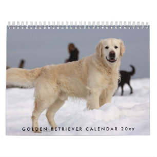 Golden Retriever Kalender 2023 mit Ihren Fotos