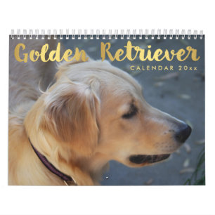 Golden Retriever Kalender 2025 mit Fotos
