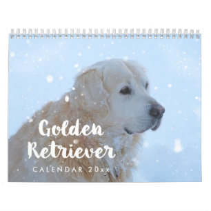 Golden Retriever Kalender 2025 Monatlich