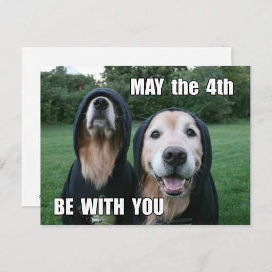 Golden Retriever kann der 4. sein mit Dir Parody Postkarte (Vorne/Hinten)