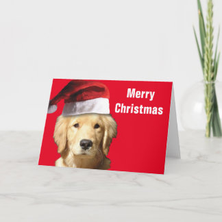 Golden Retriever Karte