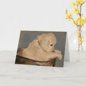 Golden Retriever Karte (Gelbe Blume)