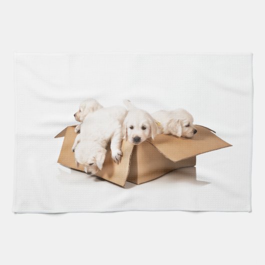 Golden retriever-Kasten Spaß Geschirrtuch (Horizontal)