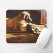 Golden retriever-Katze Mousepad Special-Freunde (Mit Mouse)