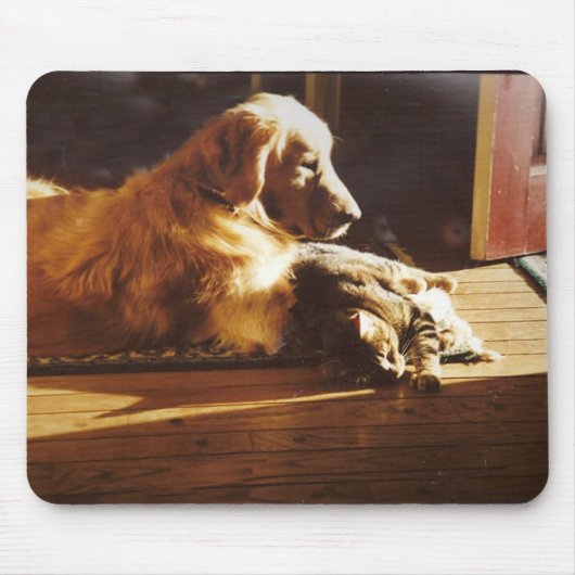 Golden retriever-Katze Mousepad Special-Freunde (Vorne)
