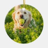 Golden Retriever Keramik Ornament (Vorne)