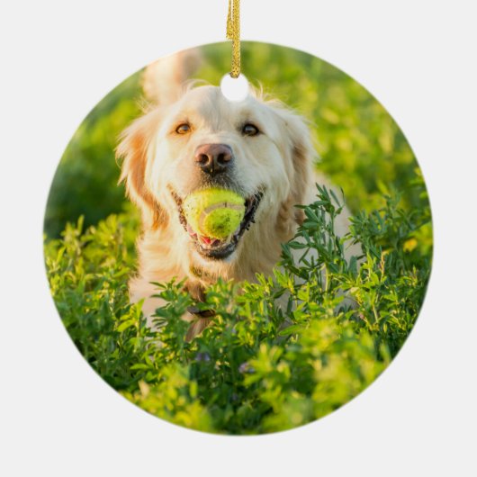 Golden Retriever Keramik Ornament (Hinten)