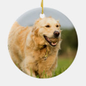 Golden Retriever Keramik Ornament (Hinten)