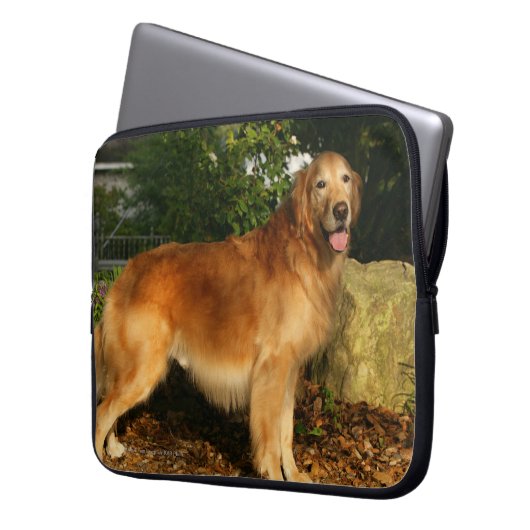 Golden retriever-Keuchen Laptopschutzhülle (Vorderseite Links)