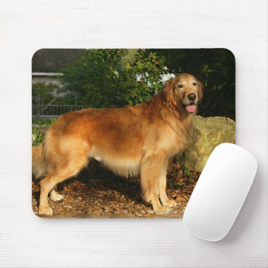 Golden retriever-Keuchen Mousepad (Mit Mouse)