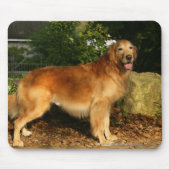 Golden retriever-Keuchen Mousepad (Vorne)