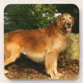 Golden retriever-Keuchen Untersetzer (Vorderseite)