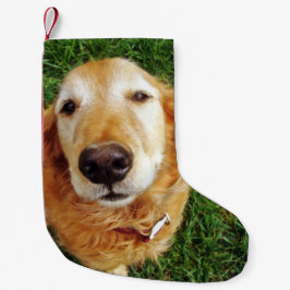 Golden Retriever Kleiner Weihnachtsstrumpf