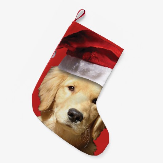Golden Retriever Kleiner Weihnachtsstrumpf (Vorderansicht (hängend))