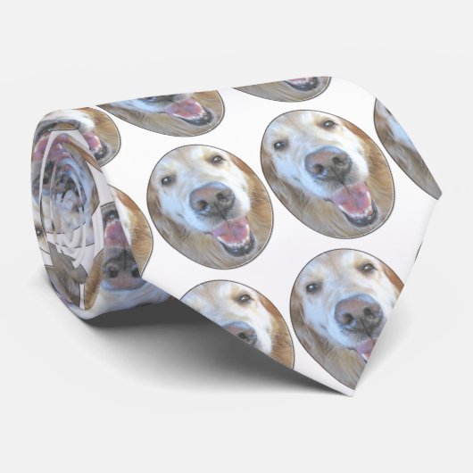 Golden retriever krawatte (Gerollt)