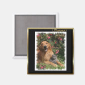 Golden Retriever Kunst Geschenke Magnet (Vorderseite/Rückseite)