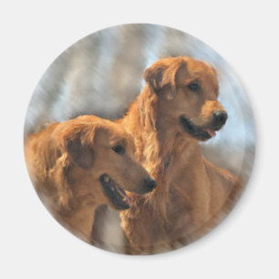 Golden Retriever Kunst Geschenke Magnet