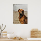 Golden Retriever Kunst Geschenke Poster (Küche)