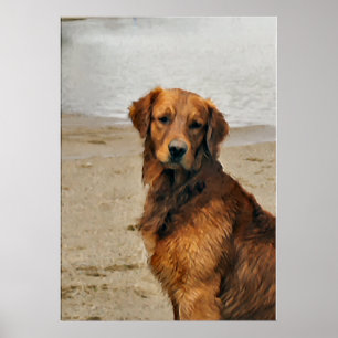 Golden retriever-Kunst-Geschenke Poster