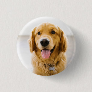 Golden Retriever Lächeln Button