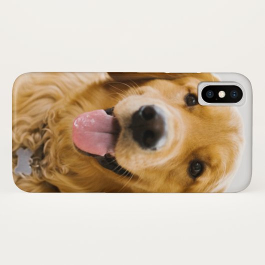 Golden Retriever Lächeln Case-Mate iPhone Hülle (Rückseite (Horizontal))
