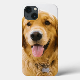 Golden Retriever Lächeln Case-Mate iPhone Hülle