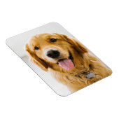 Golden Retriever Lächeln Magnet (Rechte Seite)