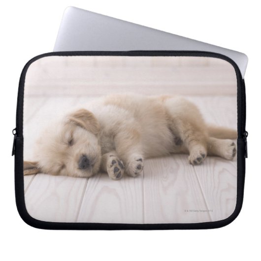 Golden Retriever Laptopschutzhülle (Vorderseite)