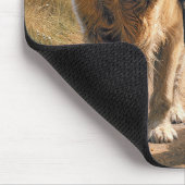 Golden Retriever laufen auf einer Landstraße Mousepad (Ecke)