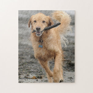 Golden Retriever läuft mit Stock im Maul Puzzle