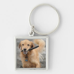 Golden Retriever läuft mit Stock im Maul Schlüsselanhänger