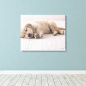 Golden Retriever Leinwanddruck (Insitu (Holzboden))
