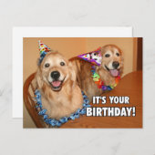 Golden Retriever Let's Party Geburtstag Einladungspostkarte (Vorne/Hinten)