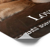 Golden Retriever Liebe ist nur ein Wort Poster (Ecke)