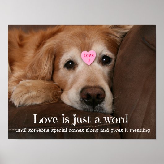 Golden Retriever Liebe ist nur ein Wort Poster (Vorne)