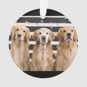 Golden Retriever Liebe Ornament