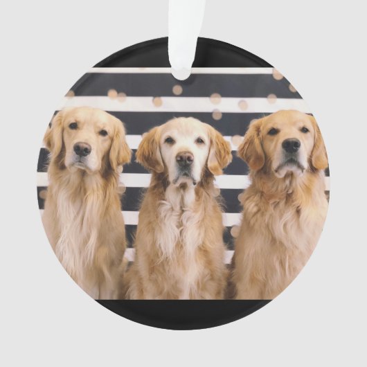 Golden Retriever Liebe Ornament (Vorderseite)