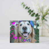 Golden Retriever Liebe Postkarte (Stehend Vorderseite)