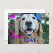 Golden Retriever Liebe Postkarte (Vorne/Hinten)