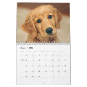 Golden retriever-Liebhaber-Kalender Kalender (Mär 2026)