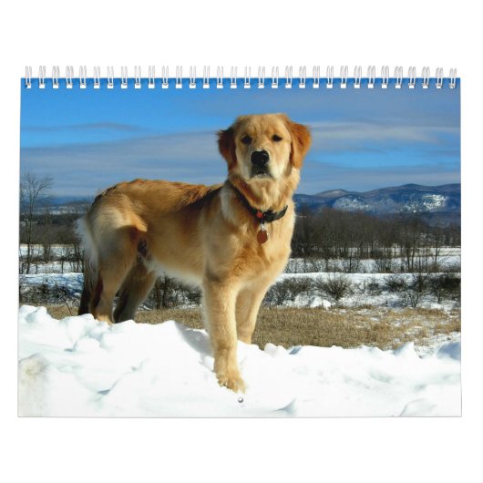 Golden retriever-Liebhaber-Kalender Kalender (Titelbild)
