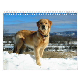Golden retriever-Liebhaber-Kalender Kalender