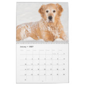 Golden retriever-Liebhaber-Kalender Kalender (Jan 2027)