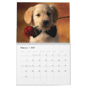 Golden retriever-Liebhaber-Kalender Kalender (Feb 2027)