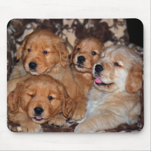 Golden Retriever Litter Mousepad